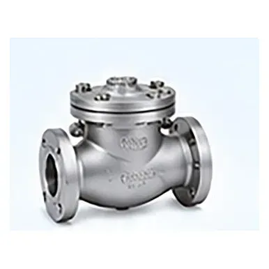 Check valve yang ditampilkan dalam profil perusahaan